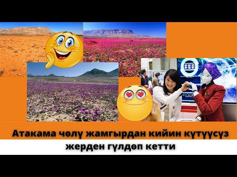 Video: Атакама чөлү