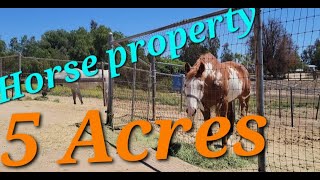 HORSE property for sale in Temecula Ca. 5 ACRES