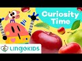 WHERE DO APPLES COME FROM? 🍏🍎  Educational Video for Kids | Lingokids