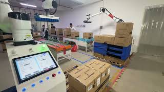 Heavy-Duty Cobot Palletizer for Large Cases | Oversized Carton Box Robotic Stacking