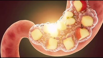 Steel beams rise, concrete slabs lock into place, and large panoramic glass walls slide in. Wooden