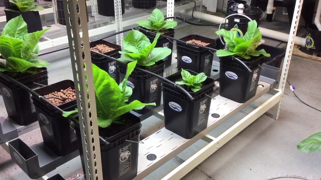 Riverponics Drip & Flow