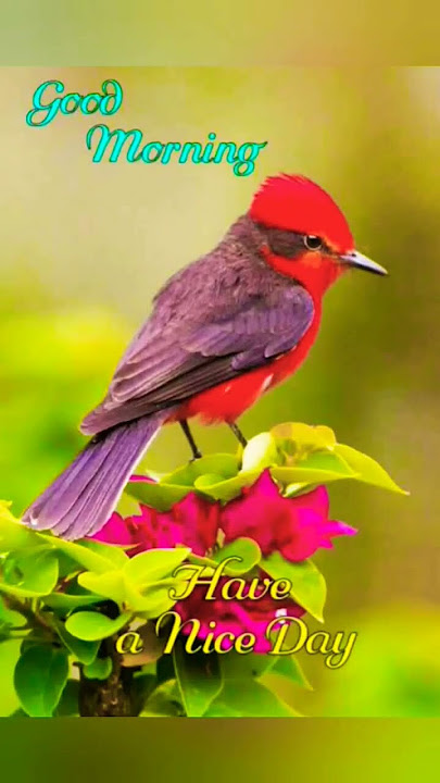 Good morning everyone 🙏🙏🙏🙏🙏🙏🙏