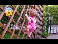 Funniest sneaky babies steal everything  fails boss