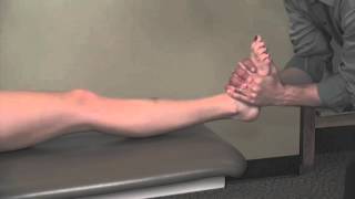 OMT Lower Extremity iOS App - Manual Therapy for the Lower Limb