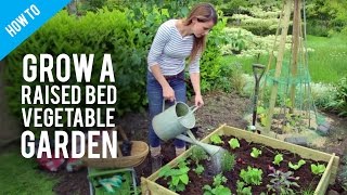 How to grow vegetables  in raised bed gardens screenshot 4