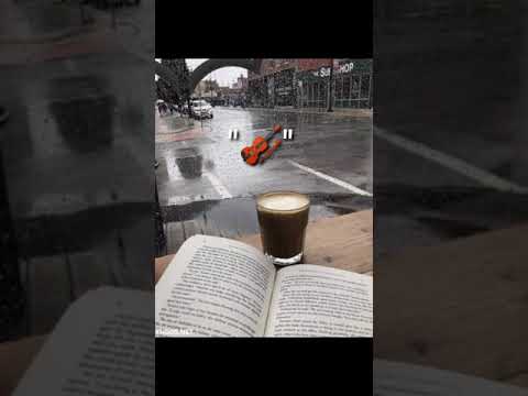 قصيده الشتا للشاعر عمرو حسن