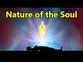 Nature of the soul  pravrajika divyanandaprana