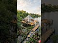 Rumah piramida bambu di tengah danau
