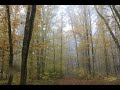 MODAL SKULPT & STRYMON NIGHTSKY - epic jam - " AUTUMN MORNING "