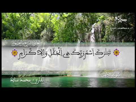 الحزب 54 محمد سايد