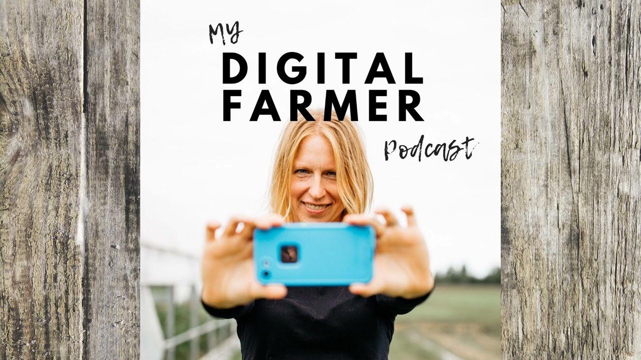 345 — The Energy of Money: FMS Money Mindset Series