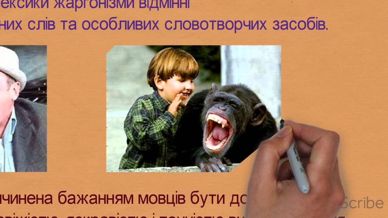 Машина синоним жаргон
