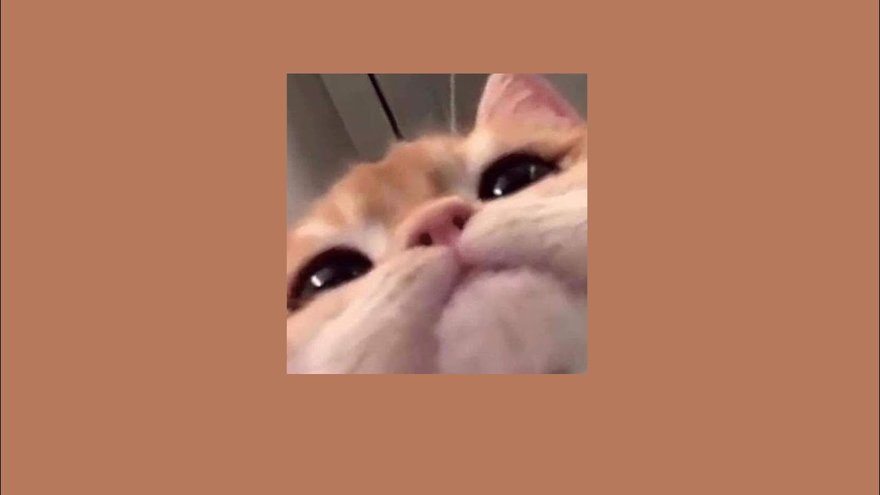 Reverse Rainbow Slowed + Reverb - Vocaloid