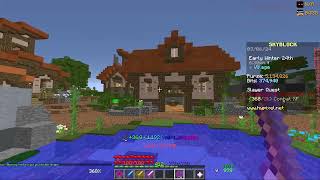 Reaching skyblock level 280