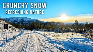 Virtual Run in Norway | Winter Sun Crunchy Snow | Treadmill Workout