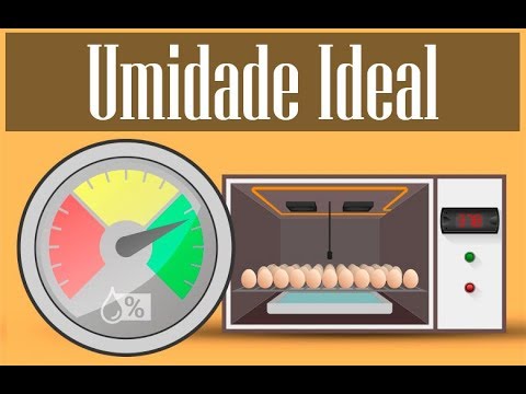 Vídeo: Quando aumentar a umidade na incubadora?