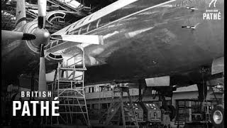 B.O.A.C. Britannia  (1953)