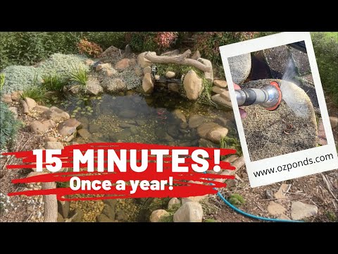 Ecosystem Pond Cleaning| No Need to Drain or Remove Fish