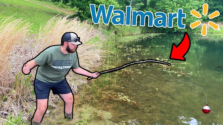 $5 Walmart SURVIVAL Fishing Challenge!!! (Catch Clean Cook)