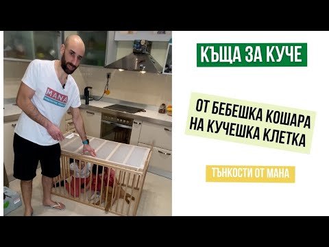 Видео: Как да се хранят котки Сардини
