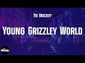 Tee Grizzley - Young Grizzley World (feat. A Boogie Wit Da Hoodie & YNW Melly) (lyrics)