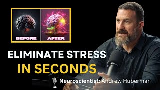 Neuroscientist: You Will NEVER Feel Stressed Again | Andrew Huberman