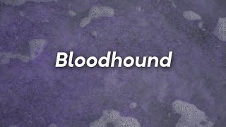 Bloodhound // 5SOS [Lyrics]