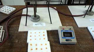 Effect of temperature on digestion of starch by amylase