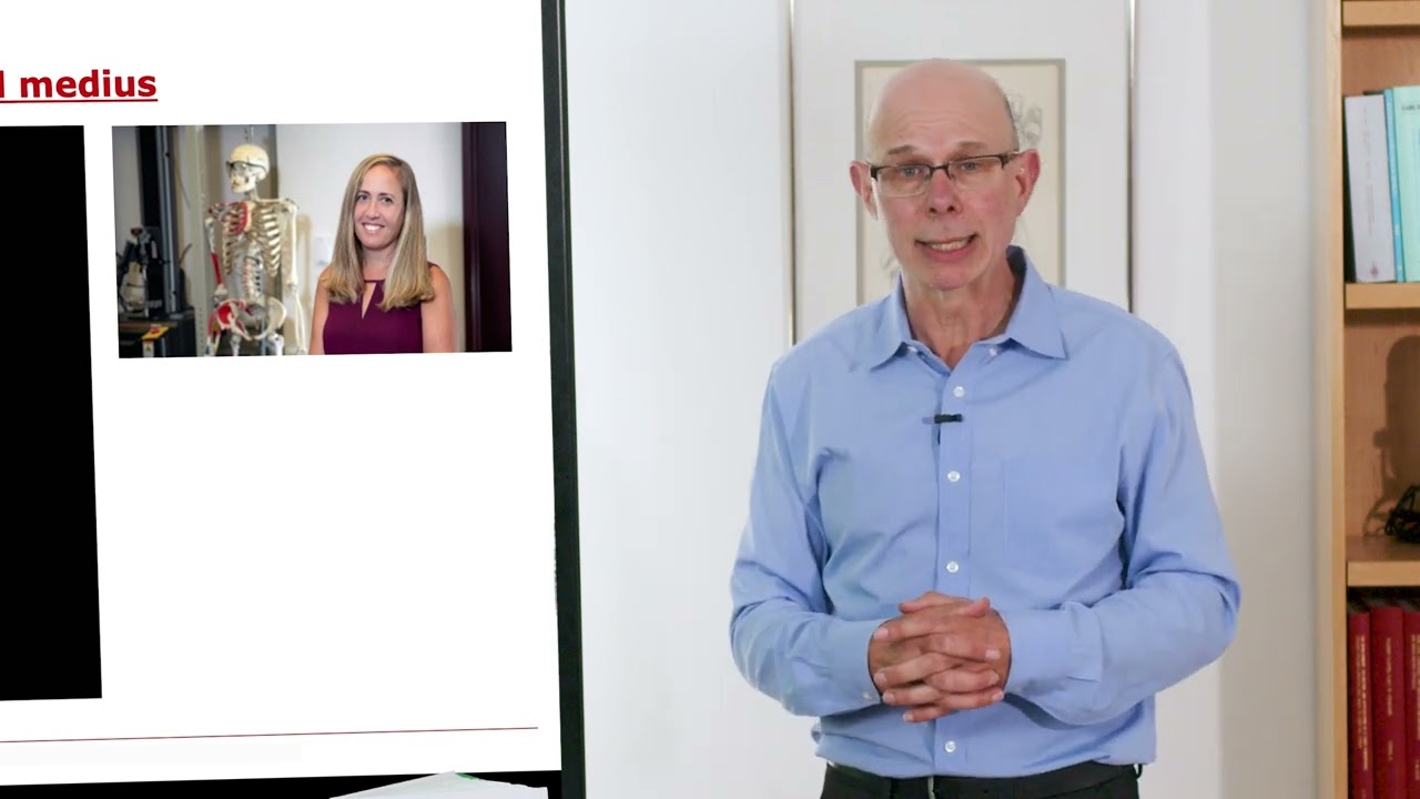 Biomechanics of Movement | Lecture 6.6: Modeling Musculoskeletal Geometry