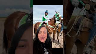 El Alexander (Tom A Hock) Cuadra Casa Blanca 🐎👏 #cuartodemilla #carrerasdecaballos #horseracing