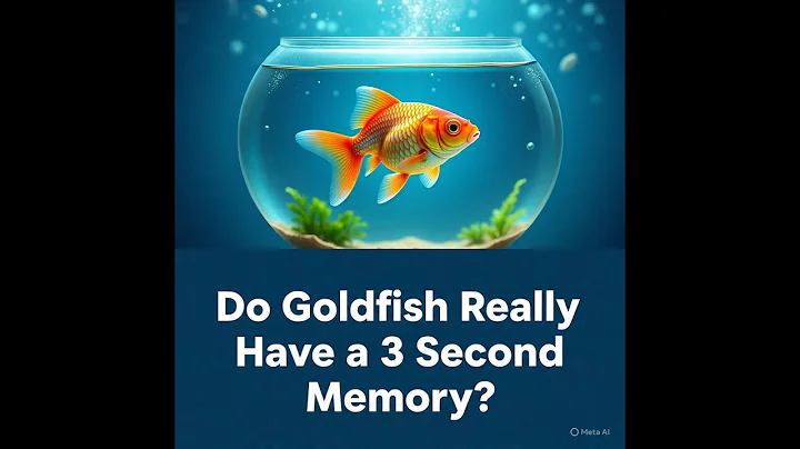 Do Goldfish Really Have a 3 Second Memory