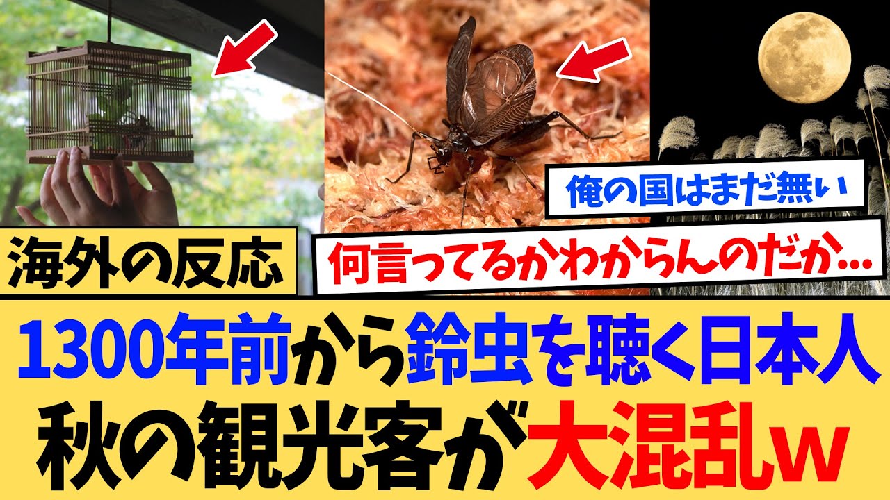【海外の反応】「日本人には鈴虫の声が聞こえるだと！？」 昆虫を愛でる日本人の特殊な歴史と世界への影響が話題に