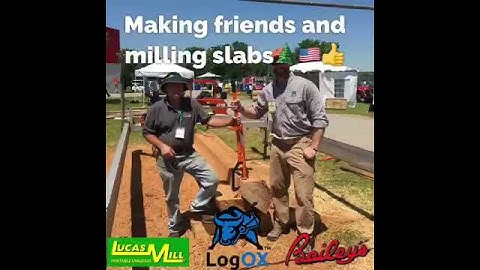 The LogOX Cant Hook with Bailey