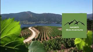 RUTAS QUAD POR OURENSE