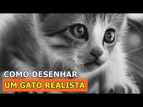 Desenhando um gato de forma realista – Blog da AreaE