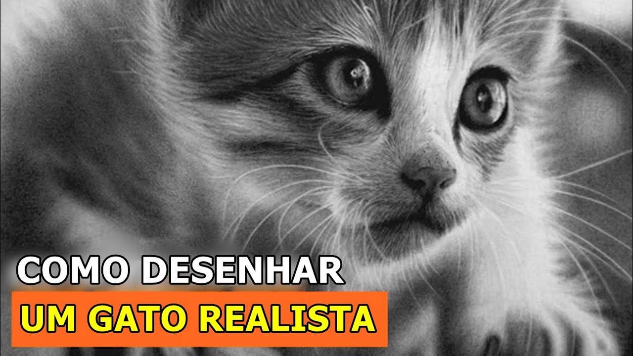 Tutorial: Como desenhar um gato fácil passo a passo