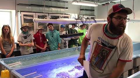 Coral Propagation-Part 2