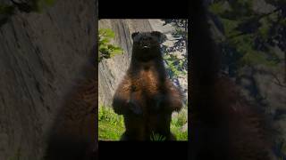 Rdr2 Legendary Bear