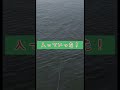棒ウキが沈む！アタリの瞬間【チヌ釣り】