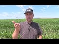 How Boise's Farm in Kuna Keeps Water Bills Affordable
