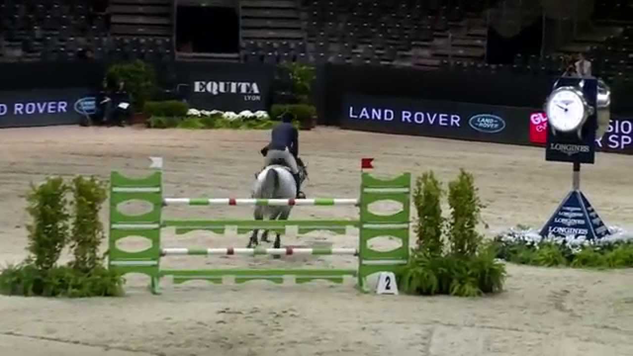 Arkol (Argentinus x Kolibri) Showjumping Stallion