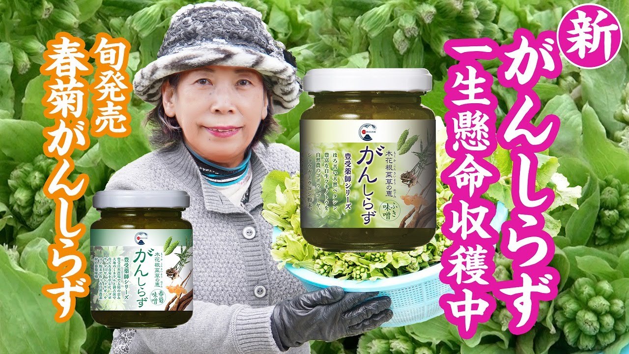 豊 受 モール