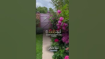 سورة الإخلاص كاملة تلاوة تريح القلب #قرآن #سورة_الإخلاص #قران_كريم