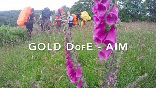 Gold DofE - Aim