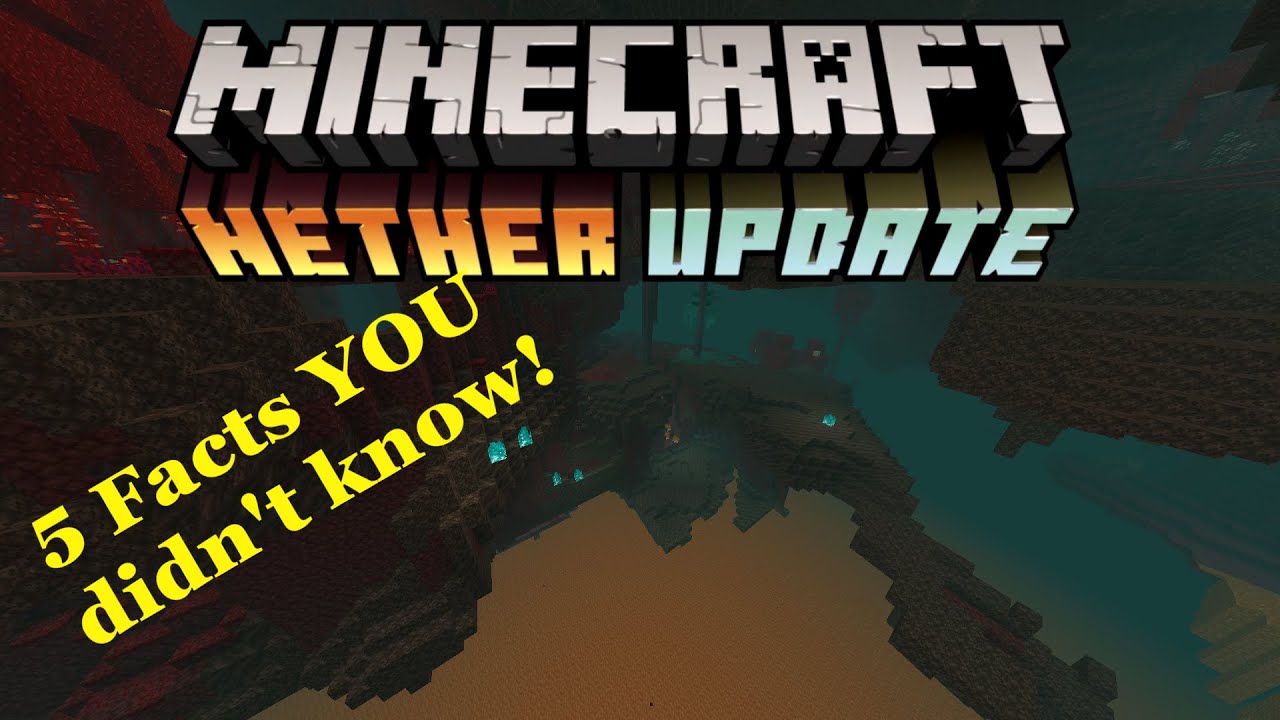 5 Facts you DIDN'T KNOW about the NEW NETHER SNAPSHOT!