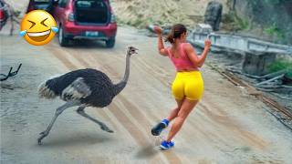You Never Really Know What's Coming Next 😂 Funny Animal Videos