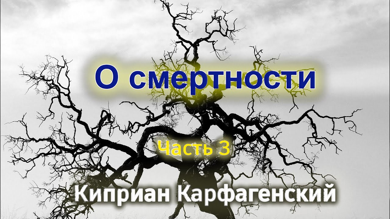 Картинки цитаты Киприан Карфагенский. Киприан Карфагенский цитаты. Киприан трава песня поговори