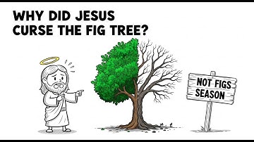 Why Did Jesus Curse the Fig Tree When It