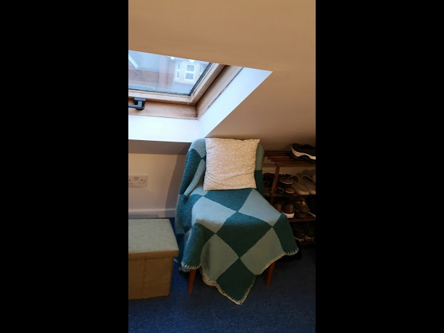 Video 1: Lots of healthy natural light!